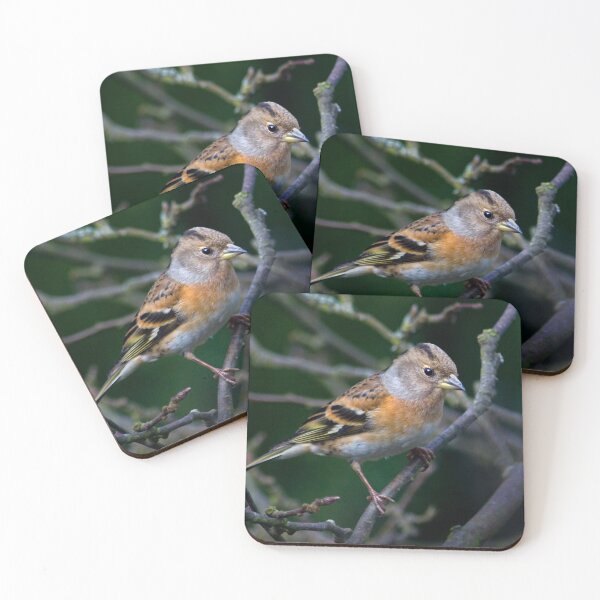 Item preview, Winter Visitor designed and sold by Krys Bailey.
