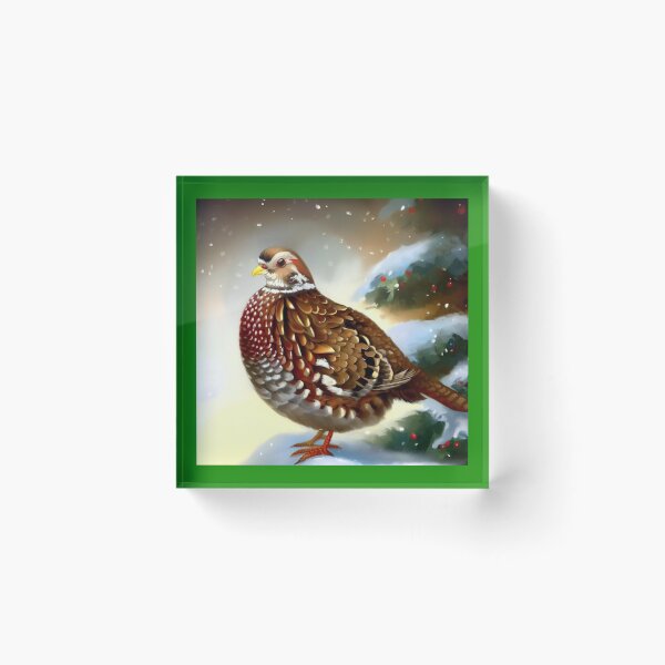 Item preview, Christmas Partridge 1 designed and sold by CrankyOldDude.