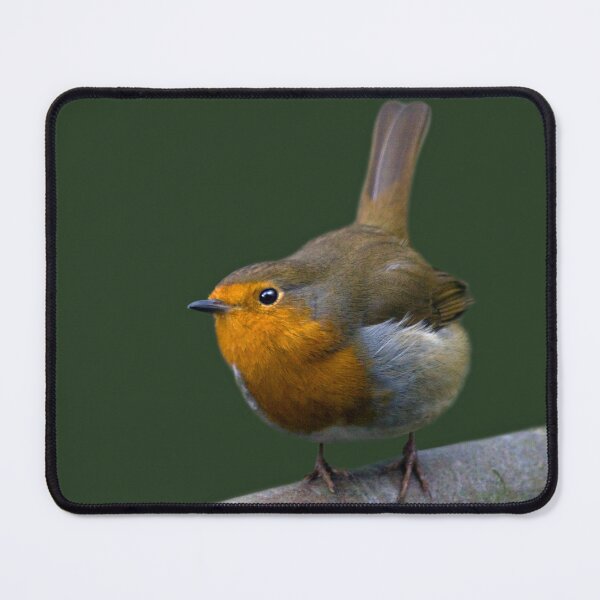 Item preview, Watch the Birdie! designed and sold by Krys Bailey.