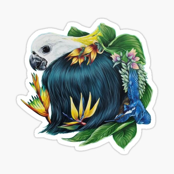 Birds of Paradise Sticker