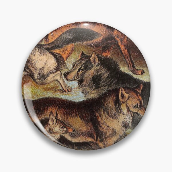 Item preview, Leader of the Pack Wolves Jackals Coyotes Vintage Chromolithograph by Hugh Craig Animal Lover Gift designed and sold by ElegantTeaTime.