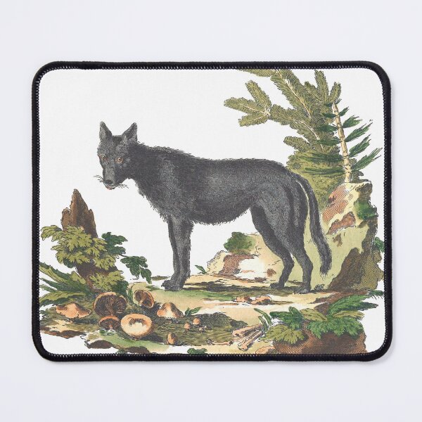 Item preview, Leader of the Pack Black Wolf in Clearing with Mushrooms Vintage Chromolithograph Innocente Allesandri Animal Lover Gift designed and sold by ElegantTeaTime.
