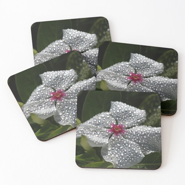 Item preview, Natures Glitter And Shine designed and sold by Joy Watson - Natural Light Photography .