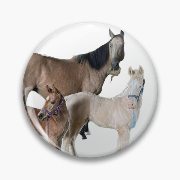 Item preview, Focused on cuteness designed and sold by CostarsTwins.