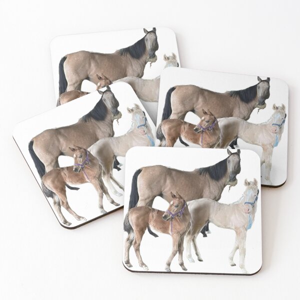 Item preview, Focused on cuteness designed and sold by CostarsTwins.