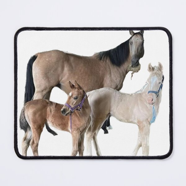 Item preview, Focused on cuteness designed and sold by CostarsTwins.