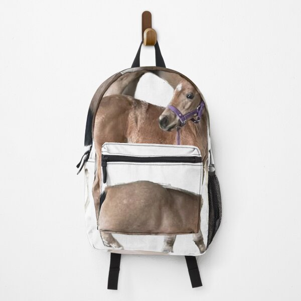 Item preview, Focused on cuteness designed and sold by CostarsTwins.