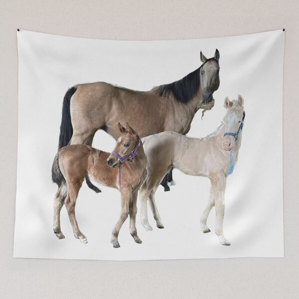 Item preview, Focused on cuteness designed and sold by CostarsTwins.