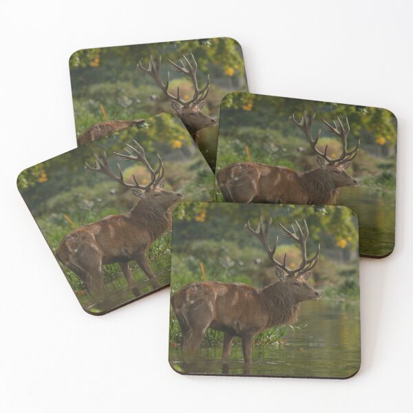 Item preview, Fine Stag.  designed and sold by JoHackman.