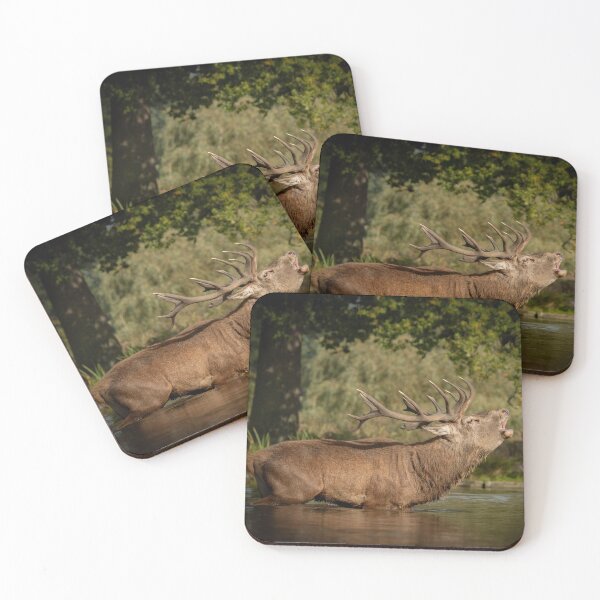 Item preview, Water loving stag.  designed and sold by JoHackman.