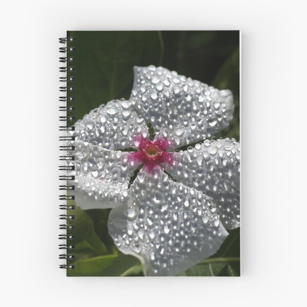 Item preview, Natures Glitter And Shine designed and sold by Joy Watson - Natural Light Photography .