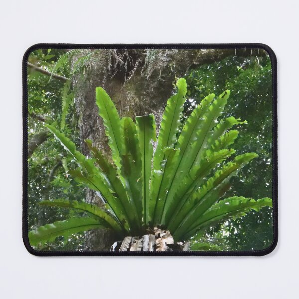 Item preview, Green Rain-forest designed and sold by jnorton772.