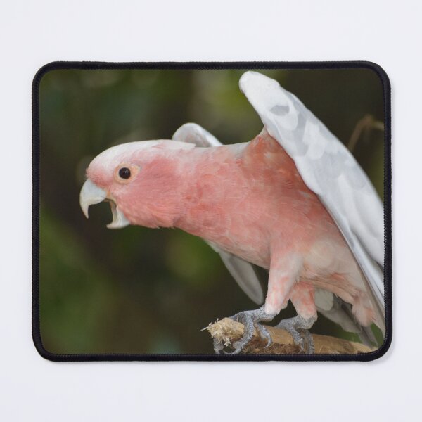 Item preview, Galah designed and sold by jnorton772.
