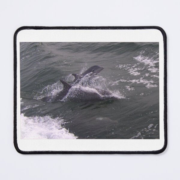 Item preview, Dolphins in Virginia Beach, VA designed and sold by Kimberly Scott.