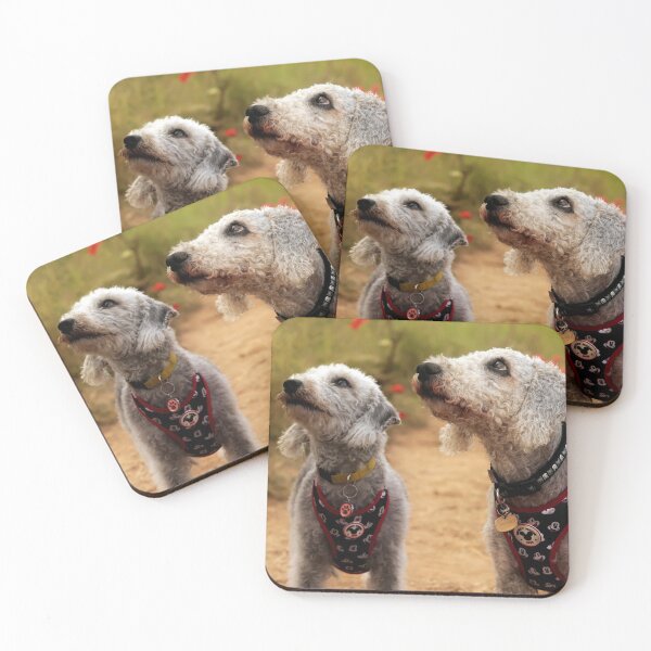 Aperçu de l'œuvre Bedlington Terrier 3 créée et vendue par Terri Waters Photography & Design.