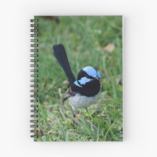 Item preview, Blue wren designed and sold by jnorton772.