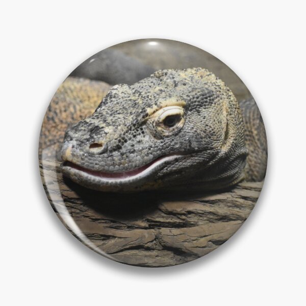 Artikelvorschau, Komodowaran entworfen und verkauft von Sharon the Zoo Lady Photography .