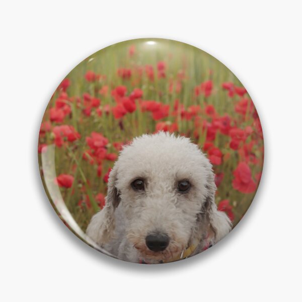 Item preview, Bedlington Terrier 11 designed and sold by Terri Waters Photography & Design.