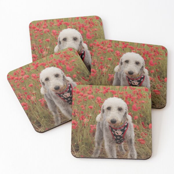 Item preview, Bedlington Terrier 11 designed and sold by Terri Waters Photography & Design.