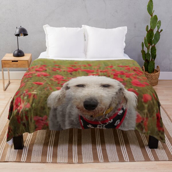 Item preview, Bedlington Terrier 11 designed and sold by Terri Waters Photography & Design.