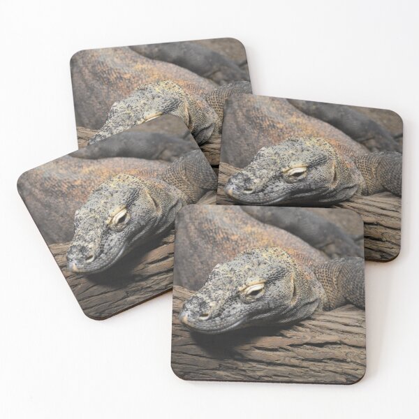 Item preview, Komodo Dragon  designed and sold by Sharon the Zoo Lady Photography .