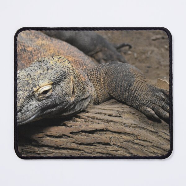 Item preview, Komodo Dragon designed and sold by Sharon the Zoo Lady Photography .