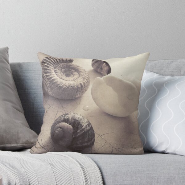 Item preview, Still Life - Shells  designed and sold by jbjobby.