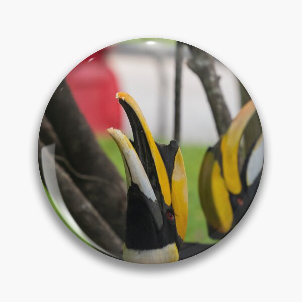 Item preview, Hornbills Phnom Penh designed and sold by Pebert27.
