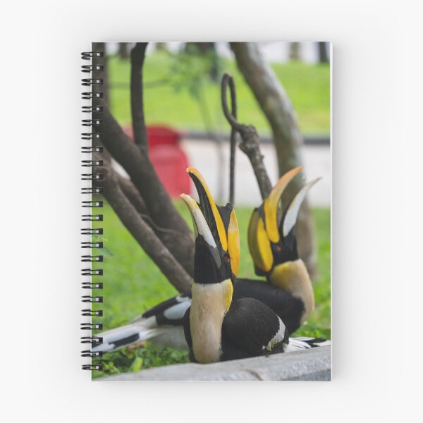 Item preview, Hornbills Phnom Penh designed and sold by Pebert27.