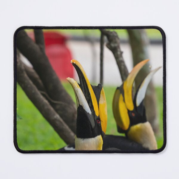 Item preview, Hornbills Phnom Penh designed and sold by Pebert27.