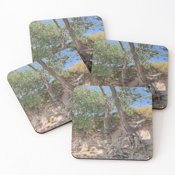 Item preview, The Will of Trees designed and sold by sebrahn.