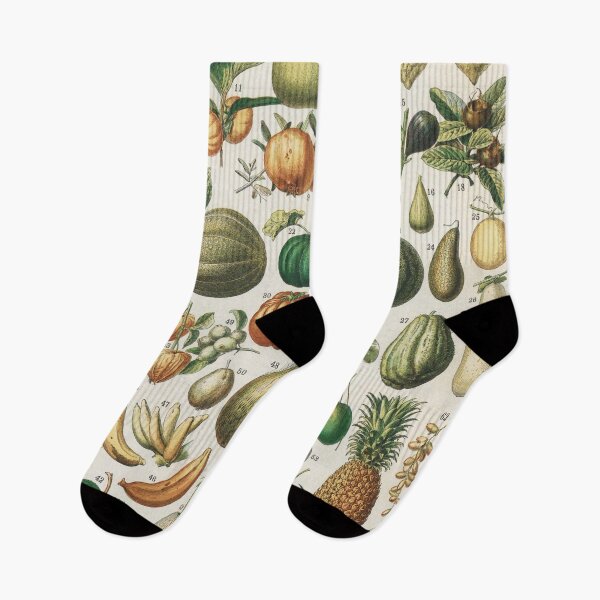 Item preview, Vintage Chart of Fruit and Vegetables | P396 designed and sold by Piccolo Fiore Prints.