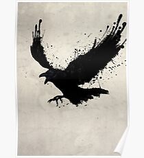 Raven Poster