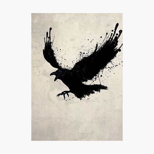 Raven Photographic Print