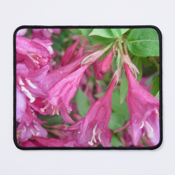 Item preview, Pretty pink flowers designed and sold by Shulie1.