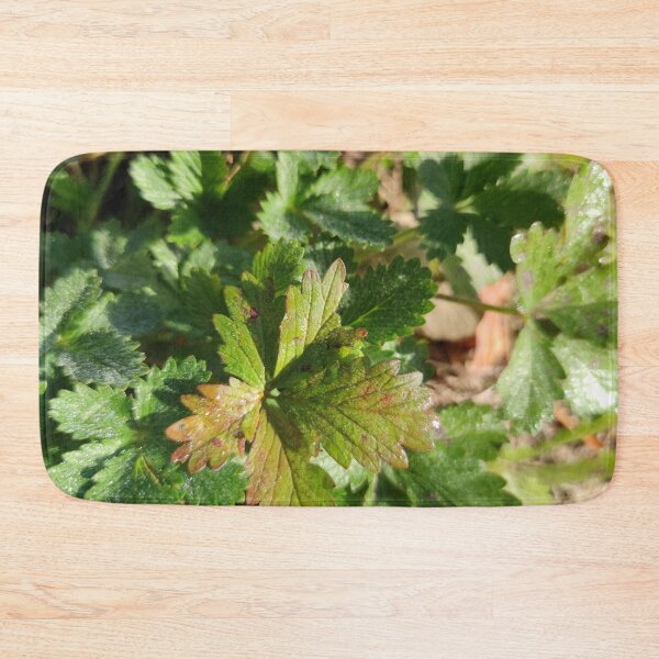 Item preview, Sparkling and cute little green leaves in fall!  designed and sold by tshuki.