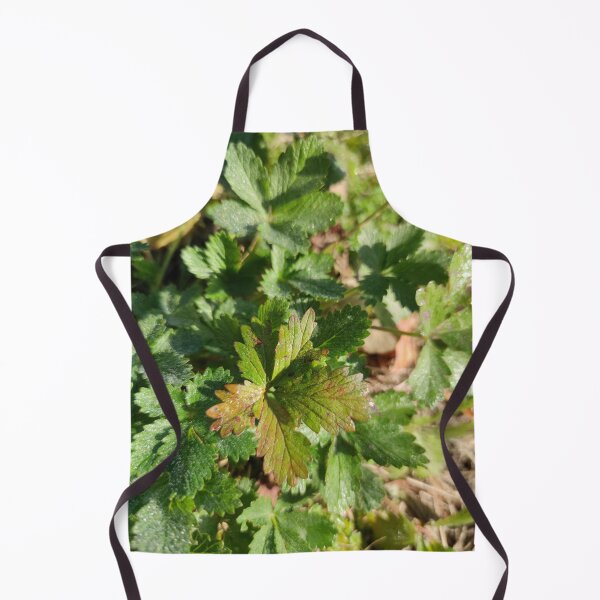 Item preview, Sparkling and cute little green leaves in fall! designed and sold by tshuki.
