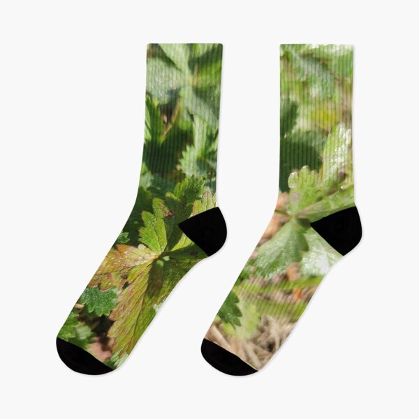 Item preview, Sparkling and cute little green leaves in fall!  designed and sold by tshuki.
