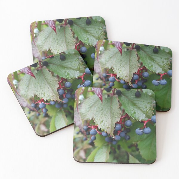Item preview, Bird grapes - Virginia creeper designed and sold by tshuki.