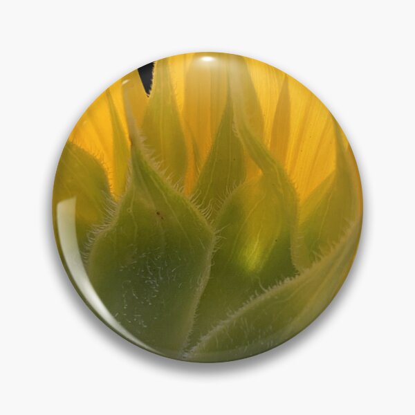 Artikelvorschau, Sonnenblume entworfen und verkauft von Darnell Williams.