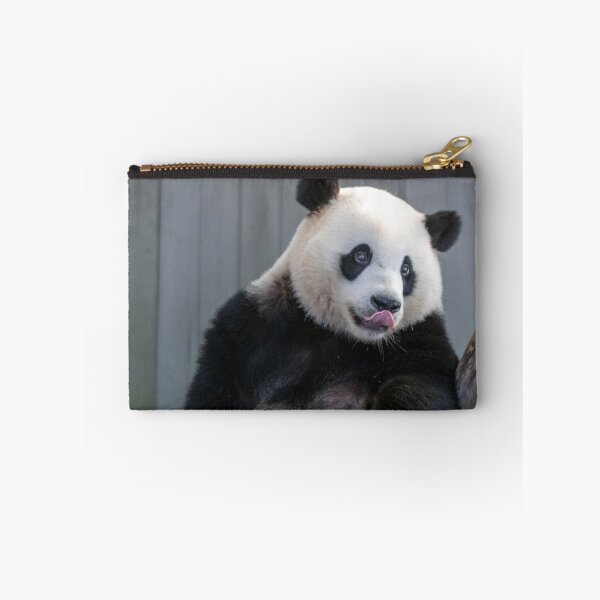 Item preview, Giant Panda Xiao Qi Ji at the Smithsonian's National Zoo designed and sold by Zoo and Nature Photography by Karie.