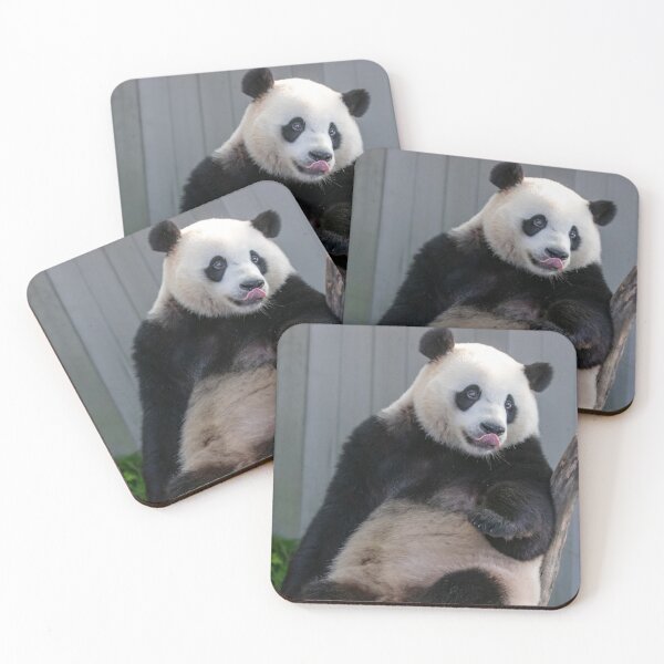 Item preview, Giant Panda Xiao Qi Ji at the Smithsonian's National Zoo designed and sold by Zoo and Nature Photography by Karie.
