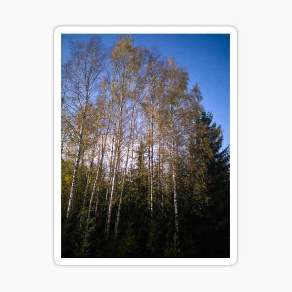 Item preview, Upwards designed and sold by Jouko Lehto Photography.