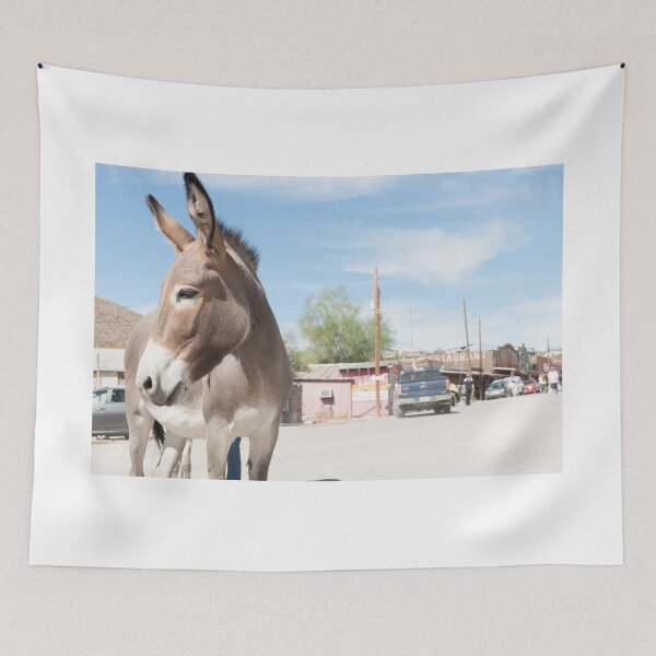 Item preview, Oatman donkey in main street of small old ghost town on Route 66. designed and sold by Brian Scantlebury.