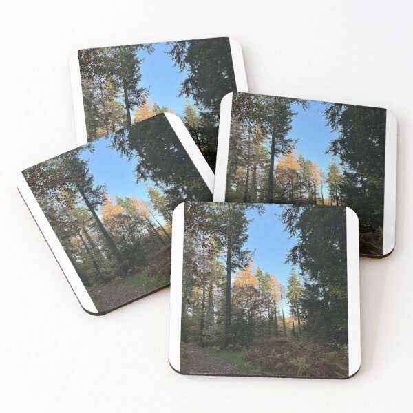 Item preview, UniquelyLaurel, treescape, Forest Of Dean, photograph, tree, canopy,  designed and sold by UniquelyLaurel.