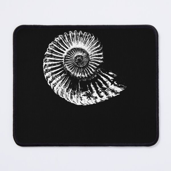 Item preview, Ammonite fossil tshirt, ideal gift for fossil hunters Essential T-Shirt designed and sold by KirstinWilkeh.