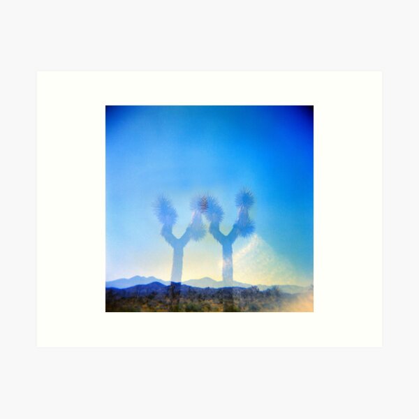 Item preview, Double Yucca Brevifolia, Joshua Tree, Holga Photograph designed and sold by Annette Young.