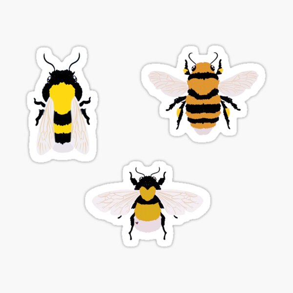 Bumble Bee Sticker – FunUsualSuspects