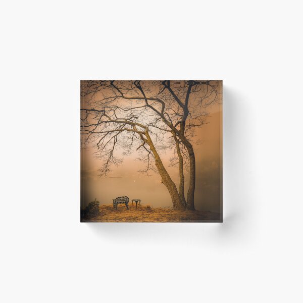 Item preview, Spooky Tree in Fog designed and sold by Blue Horse Photo Magic.