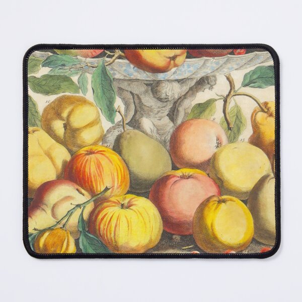 Item preview, February, from The Twelve Months of Fruits, by Robert Furber (1732) High definition designed and sold by MINDTHECHERRY.